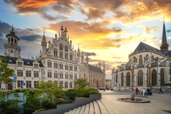 Stad Leuven Fietshandhaving